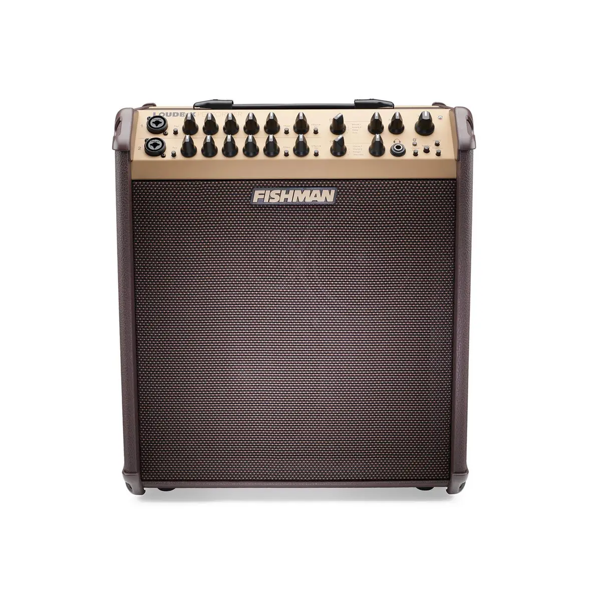 Unleash Your Acoustic Brilliance: A Comprehensive Review of the Fishman Loudbox Performer