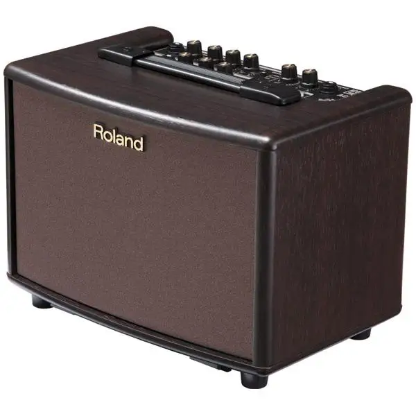 Unveiling the Roland AC-33 Amp: A Review of Portable Acoustic Excellence