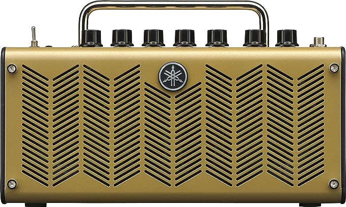 The Perfect Guide on How to Choose an Acoustic Guitar Amp