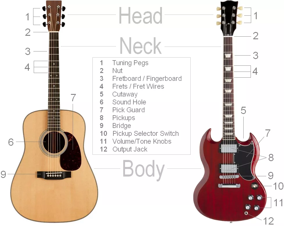 The Guitar Anatomy of Acoustics and Electrics: Exploring Their Similarities and Differences